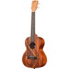 Kala Guidance Tenor Ukulele Natural - 4 of 4