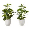 NicBex Artificial Plant Set Of 2, Fake Plants in White Pots, Tabletop Faux Plants Indoor for Living Room/Office/Windowsill Decor - 3 of 4