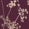Anthriscus Plum Purple Floral Paste the Wall Wallpaper - 4 of 4