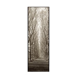 Trademark Fine Art -Alan Blaustein 'Hampton Gates Promenade' Canvas Art - 1 of 4