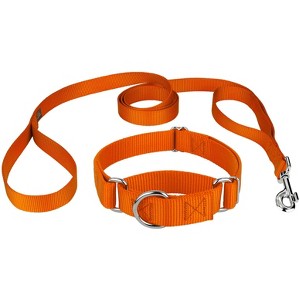 Country Brook Design Martingale Heavyduty Nylon Dog Collar and Double Handle Leash - 1 of 4