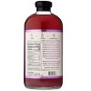 Ficks Blackberry Margarita Cocktail Mix - Case of 6/32 fo - 3 of 3