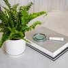 Sagebrook Home Decorative Magnifying Glass - Contemporary Ornate Magnifying Glass Decor - 2 of 4