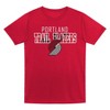 NBA Portland Trail Blazers Toddler Boys' 2pk T-Shirt - 3 of 3