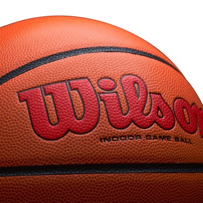 wilson evolution basketball target