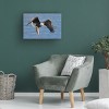 Trademark Fine Art Jun Zuo  Bald Eagle Catching a Big Fish Canvas Wall Art - 3 of 4