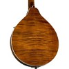 Kentucky KM-508 Artist A-Style Mandolin Gold - 4 of 4