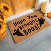 Evergreen 16 x 28 Inches Hope you Brought Boos Welcome Door Mat | Non-Slip Rubber Backing | Dirt catching Natural Coir | Indoor and Outdoor Home Decor - 2 of 4