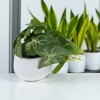 Unique Bargains Artificial Plants Calla Lily Greenery in White Pot Plastic Green 4.33"x0.39"x7.48" 1 Pc - 2 of 4