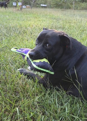 Guest review image 1 of 4, zoom in