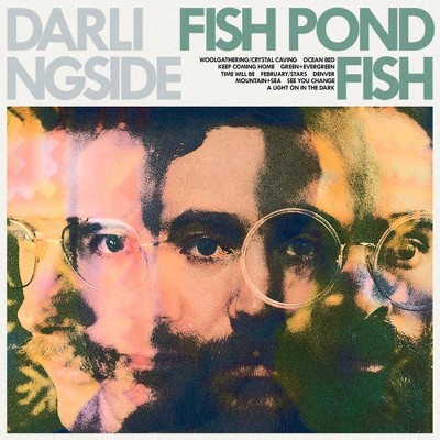 Darlingside - Fish Pond Fish (Vinyl)