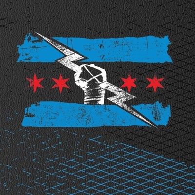 cm punk