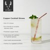 Viski Copper Metal Straws, 8 Inch Copper Straws Reusable Straws for Tumblers, Stainless Steel Drinking Straw, Reusable Straw, Set of 4 - 2 of 4