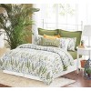 C&F Home Cecil Cotton Quilt Set  - Reversible and Machine Washable - 4 of 4