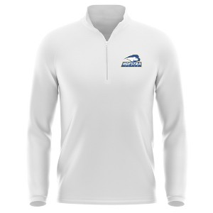 Men's Hofstra University Adult Active Sport 1/4 Zip Pullover Left Chest Logo - 1 of 4