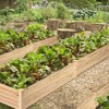 Costway Wooden Raised Garden Bed Outdoor Wood Planter Box for Vegetables Flowers Fruit - 2 of 4