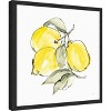 Amanti Art Lemons III by Chris Paschke Canvas Wall Art Print Framed 16 x 16-in. - 3 of 4