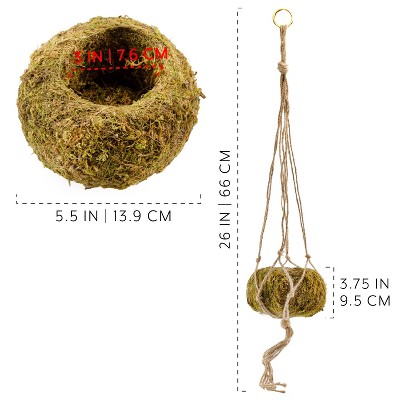 Set of 3 Green Moss Ball Hanging Planters with Jute Twine