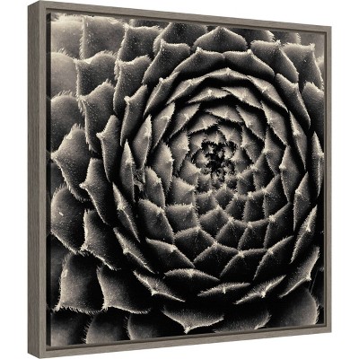 Black and White Succulent Framed Canvas Wall Art, 20" x 19"