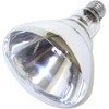 Little Giant Clear Heat Lamp Bulb - 250 watts - 3 of 3