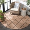 Retreat RTE256 Power Loomed UV Resistant, Stain Resistant, Non-Shedding Indoor/Outdoor Rugs - Safavieh - 3 of 4