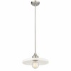 Z-Lite Paloma 1 - Light Pendant in  Brushed Nickel - 4 of 4