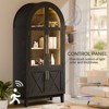GlasFlength Decorative Storage Cabinets Modern Chic Organizer for Stylish Living Room Spaces, Black,36”*17.5”*74.8" - 4 of 4