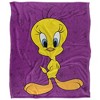 Looney Tunes Tweety Bird Character Silky 50X60 Blanket, 1 Sided - 2 of 4