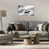 Stupell Industries Dusty Road Horse Photograph Framed Giclee Art - 3 of 4