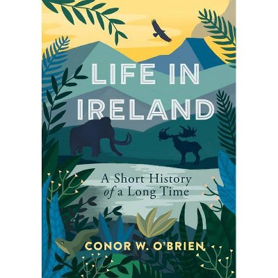 Life in Ireland - by  Conor O'Brien (Paperback)