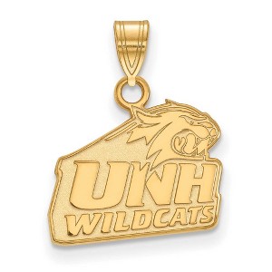Black Bow Jewelry 14k Yellow Gold New Hampshire Wildcats NCAA Small Pendant - 1 of 3