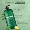 Botanic Hearth Tea Tree Shampoo for Itchy and Dry Scalp - 16 fl oz - 3 of 4