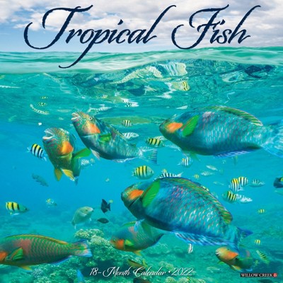 2022 Wall Calendar Tropical Fish - Willow Creek Press