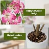 Coucheta 2-Piece Artificial Potted Trees Set, Realistic Faux Plants in Pots for Indoor Home Office Decor - 4 of 4