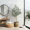 4FT Artificial Eucalyptus Tree with Silver Dollar Leaves, Faux Plant in Woven Pot for Indoor & Outdoor Home, Office Decor - 4 of 4