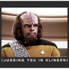 Women's Star Trek: The Next Generation Worf Judging You in Klingon T-Shirt - 2 of 4