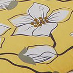 yellow-magnolia