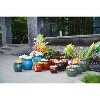 SpassWay 15" Dia Outdoor Indoor Ceramic Planter Pot Decorative Planter with Drainage Hole Patio Flower Pot - 4 of 4