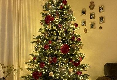 Guest review image 1 of 1, zoom in