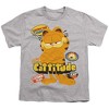 Boys' Garfield Movie Cattitude Unisex Youth T Shirt Athletic Heather X Small - 2 of 4