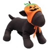 The Worthy Dog Jack-O-Lantern Hat - 3 of 3