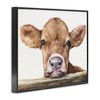 Stupell Industries Baby Cow Animal Watercolor Framed Giclee Art - 2 of 4