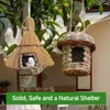 ZACHVO Handcrafted Natural Grass Bird Nest - Perfect for Small Birds - 2 of 4