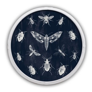 Creative Products Blue Vintage Insects 20 x 20 Round Framed Print - 1 of 4