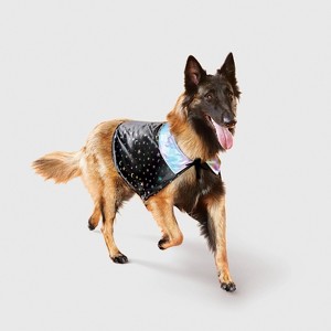 Cape Costume Night Sky Dog and Cat Costume Accessories - Boots & Barkley™ Black - 1 of 3