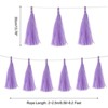Unique Bargains Party Decoration Reusable Strong Rope Tassel Garland Banner 20 Pcs - 2 of 4