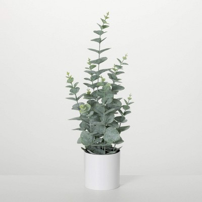 Sullivans Artificial 20.5" Faux Potted Eucalyptus Bush, Green