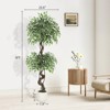 Garvee Artificial Ficus Tree,Faux Floor Tree White Imitation Ceramic Planter,Indoor Outdoor Lifelike Fake Ficus Tree with Pebbles&Green Fake Moss - 4 of 4