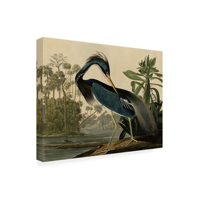 Louisiana Heron by Water Gallery-Wrapped Canvas Art