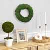 Northlight Green Moss and Twig Artificial Spring Wreath, 12-Inch - 3 of 4